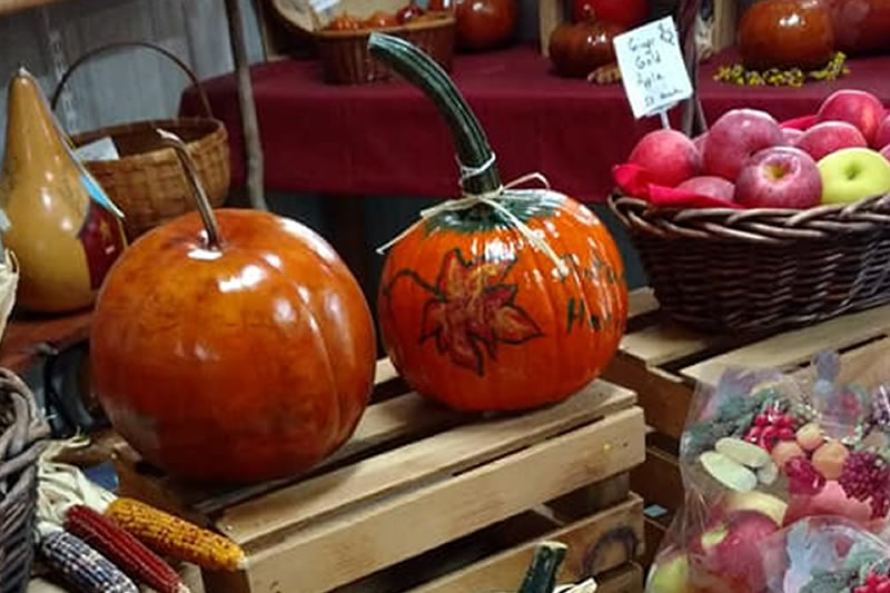 pumpkin gourds