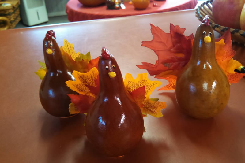 chicken gourds