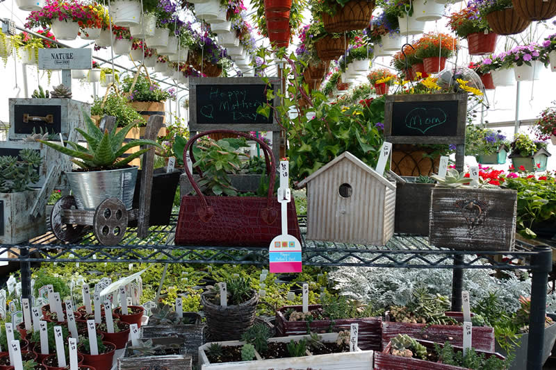 greenhouse birdhouses